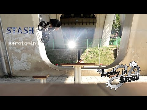 STASH x SEROTONIN Present - 'LEAKY IN SEOUL'