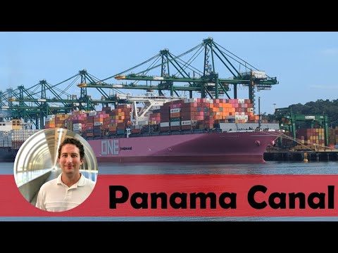 MSC and ONE Container Ships at the Port of Rodman Terminal | Panama City, Panama