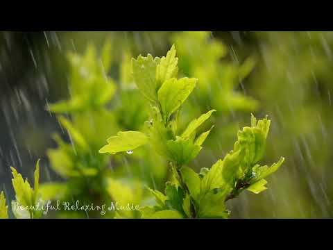 10 Hours of Soothing Piano and Rain Sleep Music for Stress Relief and Relaxation, yoga, Zen