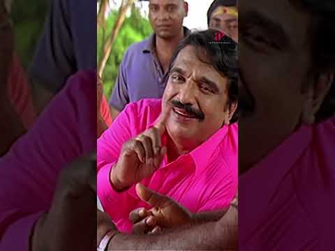 Watch full video 👆 A Aa E Ee Comedy Scenes - #aaaeee #prabhu #navdeep #comedy #shorts