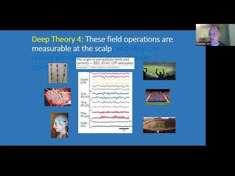 Translational biomarkers of cognitive control and reward responsivity