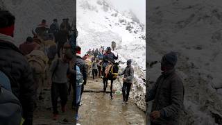 Kedarnath Yatra 2023 ❣️| Kedarnath Temple Opening day | #youtubeshorts #kedarnath #shorts #snowfall