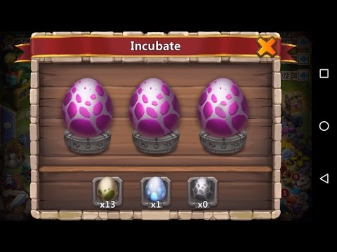 Castle Clash Opening 26 Purple Egg