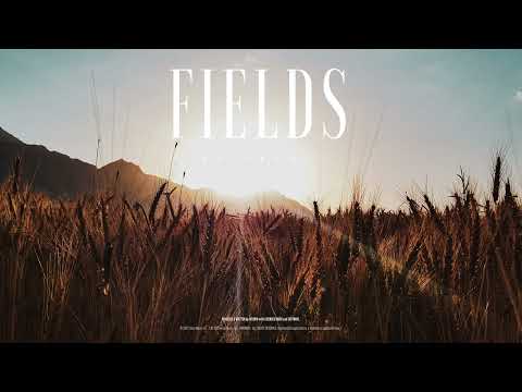 #175 Fields (Official)