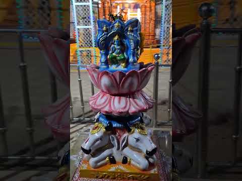 Maha shivaratri margao || shiva mandir madgaon || siva temple #goa #margao