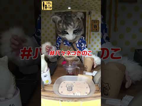 バケネコきのこ　美味しいコーヒー屋さん【バケネコーヒー】