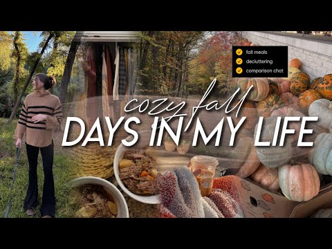 DAYS IN MY LIFE | decluttering, fall mall outing, cooking cozy dinners, comparison & motherhood chat