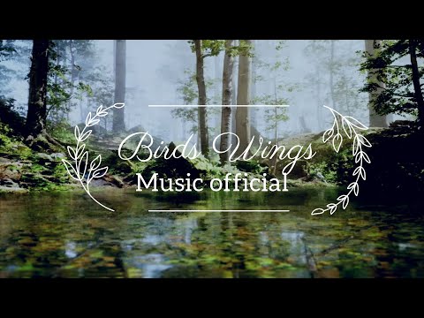 Birds Wings on a Distant Island   Relaxing Music Official