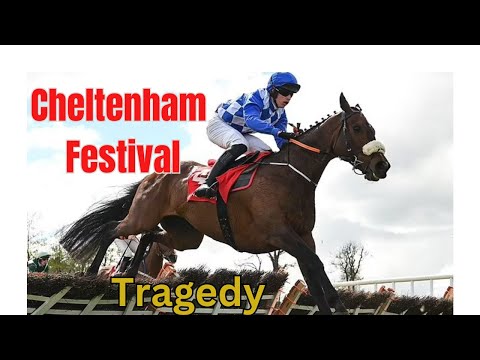 Cheltenham Festival 2024: Day 3 Highlights | Rachael Blackmore's Record-Breaking Ride!