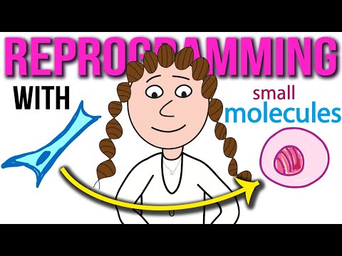 Making stem cells with chemicals.