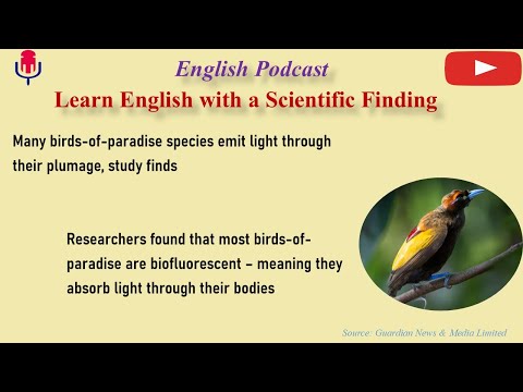 Learn English with a Scientific Finding | English Podcast- Many birds of paradise species emit light