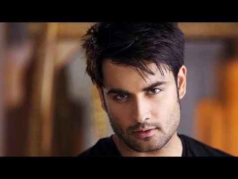 Vivian Dsena's journey