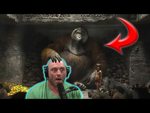 Joe Rogan: Gigantopithecus - The Largest Ape That Ever Lived!