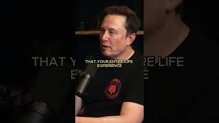 Elon Musk on How Brain Creates Reality Subscribe for mind-expanding videos!