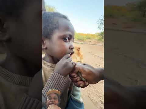 Bushman Parenting  #bushman #africa #wildlife #animals #villagelife #cooking #food #youtubeshorts