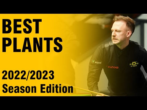 Best Plants in 2022/2023 Snooker Season!