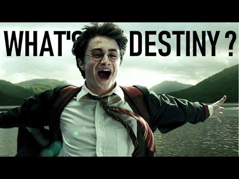 What's my destiny ? || Multifandom (w/CineVore)