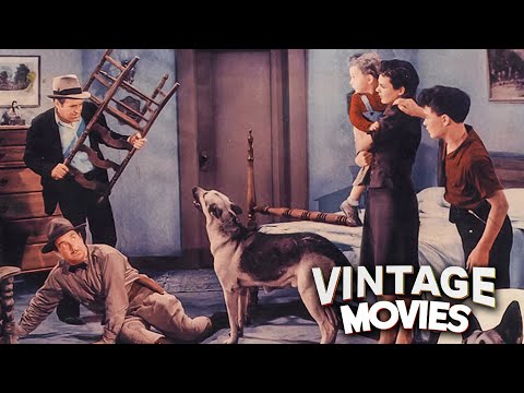 Law of the Wild Classic Dennis Moore Western Movie | Western Action Movie | Vintage Movies