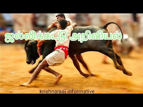 ஜல்லிக்கட்டு அறிவியல் The science behind jallikattu Krishnaraaj informative.