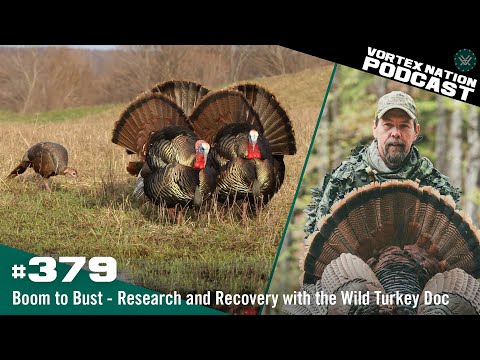 Ep. 379 | Boom to Bust - Research and Recovery with the Wild Turkey Doc