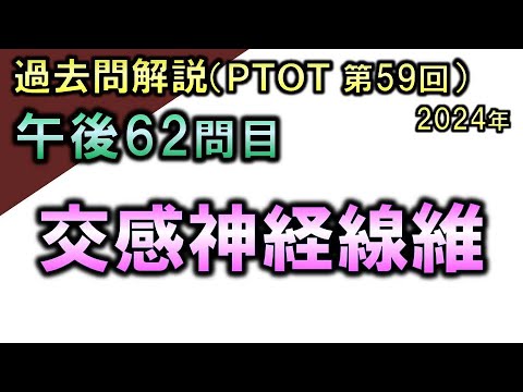 【過去問解説：第59回国家試験-午後62問目】交感神経線維【理学療法士・作業療法士】