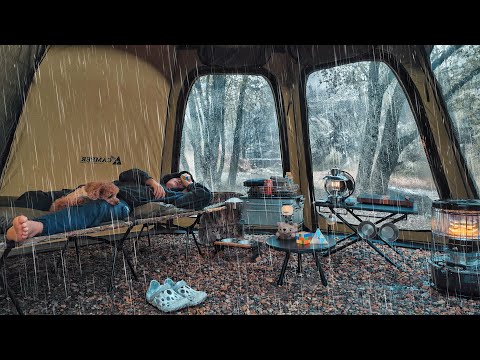 Solo Camping in Heavy rain with My Dog . Relaxing in the Tent ASMR