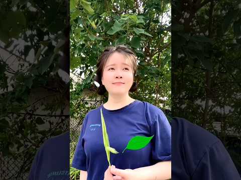 Chinese girl funny reaction if he see funny tow mans #trending #funny #shorts #short #funnyshorts