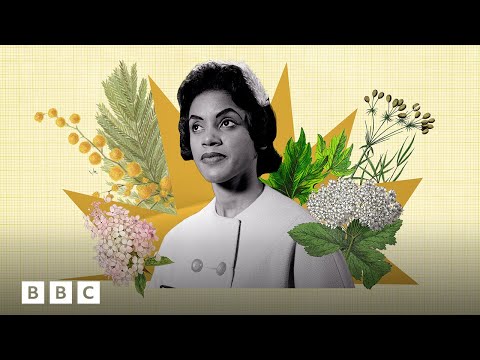 How nature can make you feel calmer | BBC Global