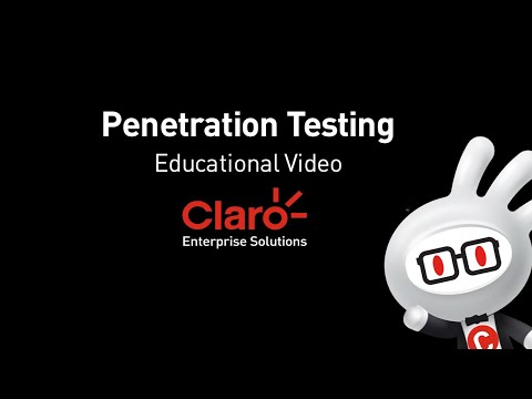 ⭕️  Claro Enterprise Solutions | Penetration Testing