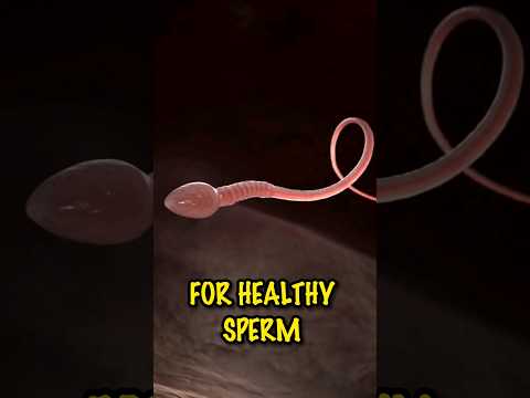 Zinc for Healthy Sperm and Male Fertility