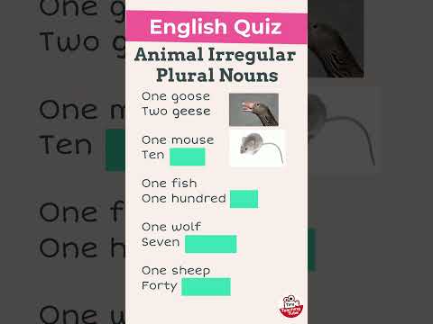 Irregular Plural Noun English Quiz