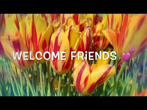 Welcome friends