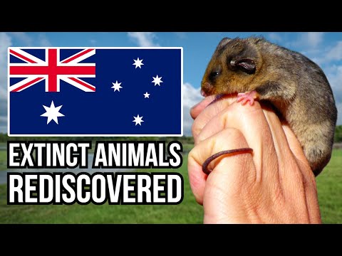 5 Supposedly Extinct Australian Animals That Were Rediscovered