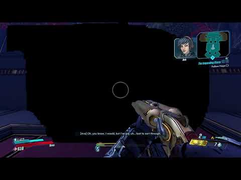 Borderlands 3 wierd void glitch