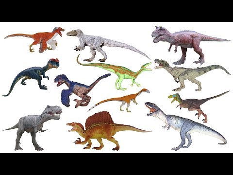 Theropod Dinosaurs - Tyrannosaurus Rex - The Kids' Picture Show (Fun & Educational Learning Video)