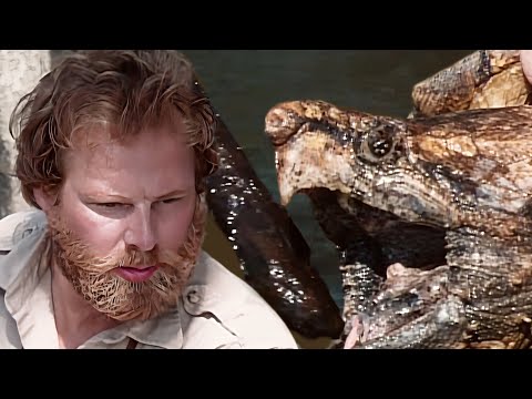 Wild America Short | Marty Snatches Swamp Turtle Like A Boss