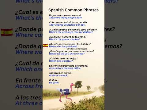 Spanish Common Expressions Part 22 #LearnSpanish #SpanishPhrases