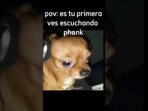 Es tu primera ves escuchando phonk #xd #phonk #cuandosetemojalatarea #momasos