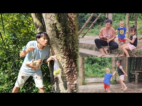 Single father, picking wild sweet potatoes to sell, remembering the past of treating his wife badly