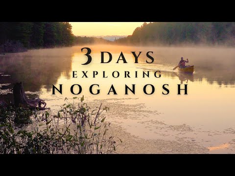 3 Day Solo Backcountry Camping | Noganosh