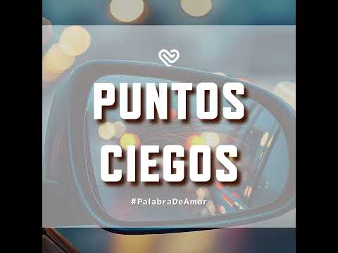 PUNTOS CIEGOS