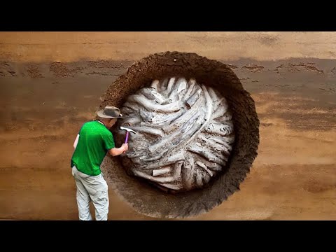 Most Satisfying Videos of Workers Doing Their Jobs Perfectly!