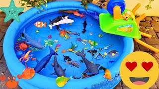 SEA ANIMALS FOR TODDLERS: SQUID, BLUE CRAB, STINGRAY, SAILFISH, LEAFY SEA DRAGON, AND OTHERS