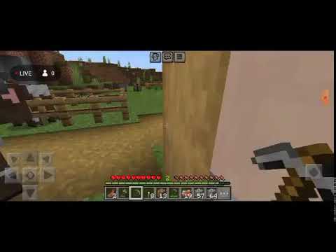 Minecraft livestream #2