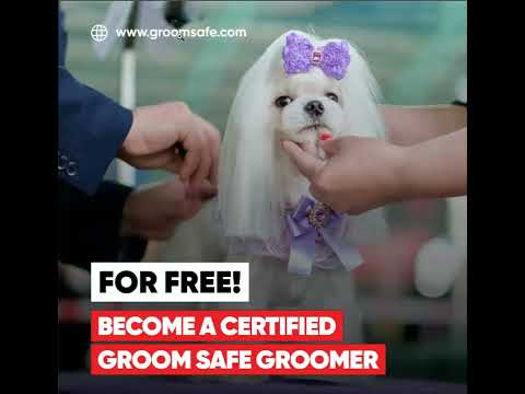 Groom Safe Groomer Certificate for FREE at GroomSafe com