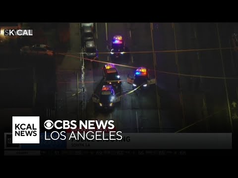 Police shoot allegedly armed suspect in South Los Angeles