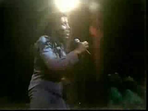 Bob Maley & the Wailers - Get Up Stand Up (live concert)