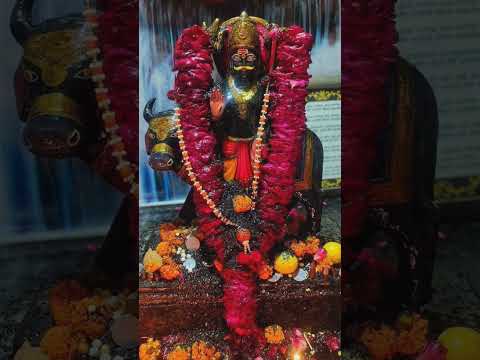 shanidev 🙏 saniwar pooja।। shanidev pooja#shanidev#shortvideo#shorts#shaniwar#shani_shadhe_sati #jai