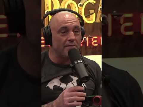 Joe Rogan Loves YouTube ASMR Videos!