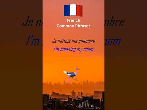 French Common Phrases Part 5 #LearnFrench